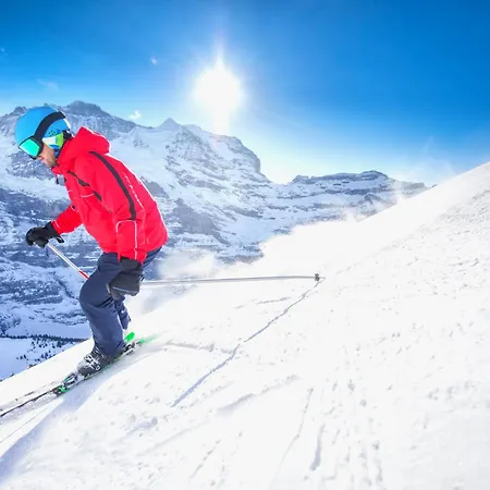 Allod Park Haus C 502 By Interhome Davos